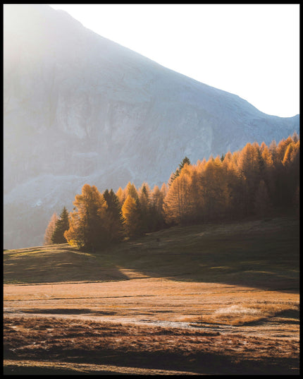 Ein Leinwandbild von einer Herbstlandschaft in den Dolomiten mit Bäumen im Sonnenlicht.