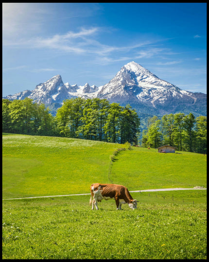 Leinwandbild von einer Kuh auf einer grünen Wiese vor einem Hintergrund aus Bergen und Bäumen.