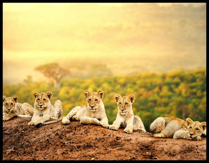 Ein Leinwandbild von fünf jungen Löwen, die auf einem Hügel sitzen, mit einer weiten afrikanischen Savannenlandschaft im Hintergrund.