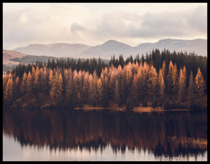 Leinwandbild von einem herbstlichen Nadelwald, der sich in einem ruhigen See spiegelt.