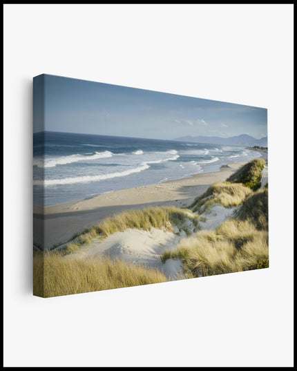 Beach View Dunes Canvas