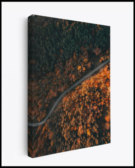 Road in the Autumn Forest Canvas