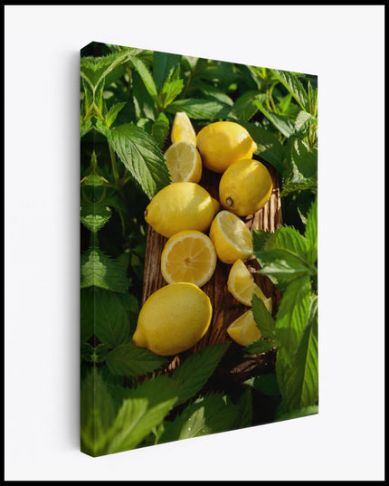 Lemons Canvas