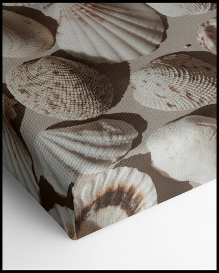 Shells in the Sand Canvas