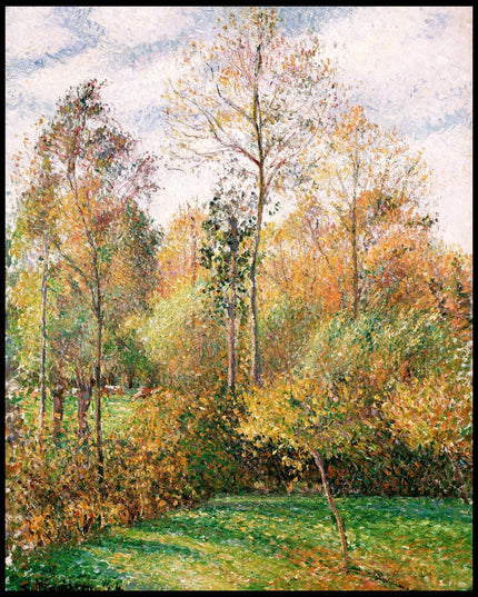 Automne, Peupliers