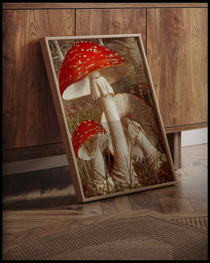 Amanita Muscaria