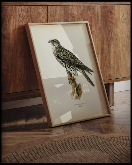 Falco Rusticolus Poster