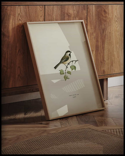 Parus Cinctus Poster