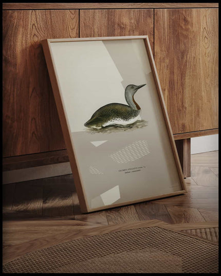 Colymbus Stellatus Poster