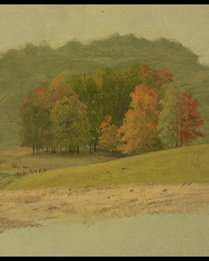 Autumn Landscape