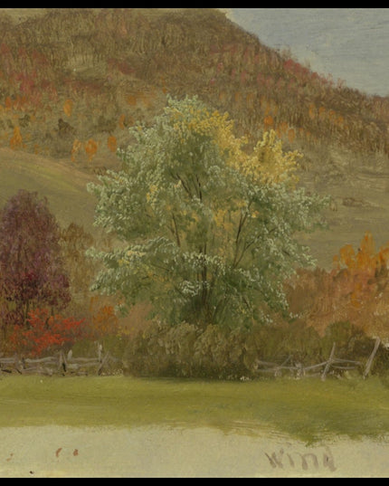 Autumn Landscape