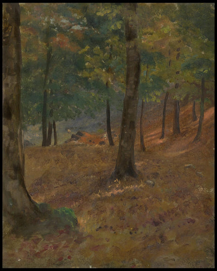 Woodland Scene