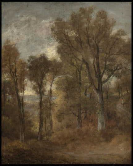 Woodland Scene