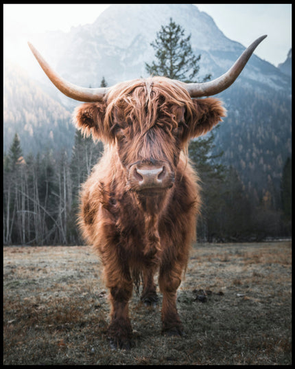 Ein Poster von einem Highland-Rind, das in einer Gebirgslandschaft steht.