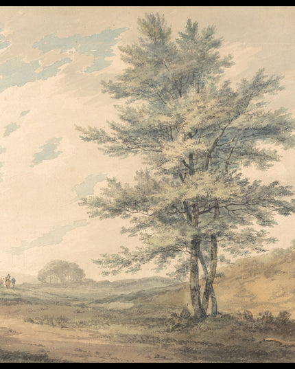 Trees And Figures