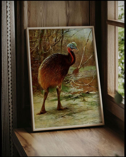 Single Wattled Cassowary