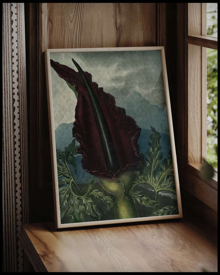 Dragon Arum